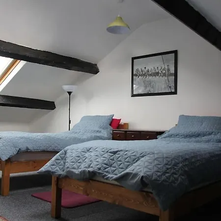 Kingfisher * Bentham