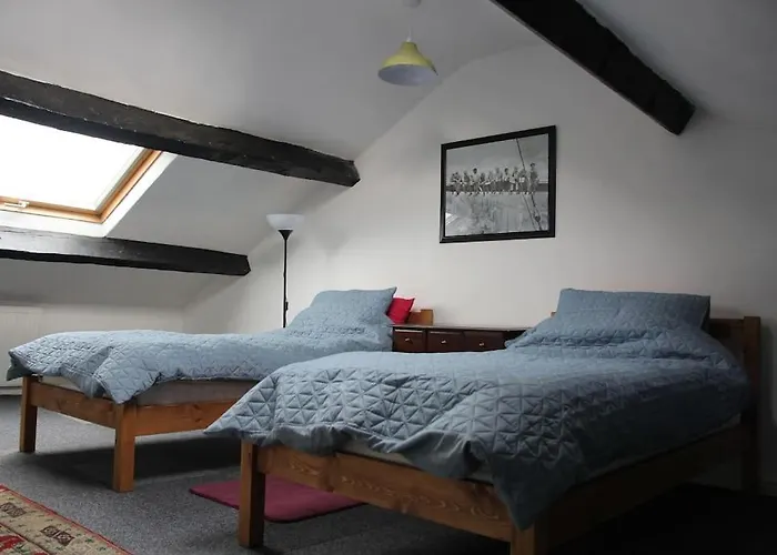 Kingfisher * Bentham