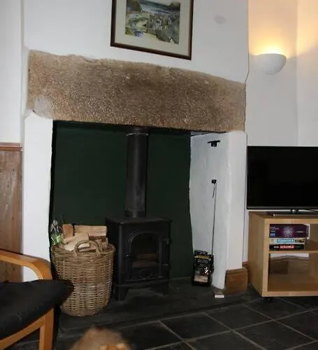 Kingfisher * Bentham